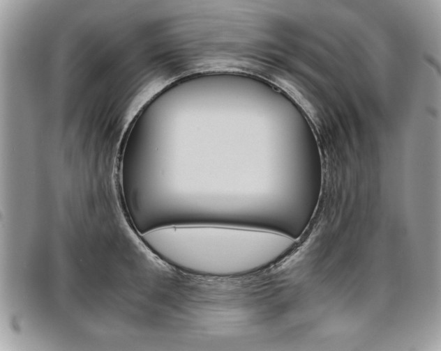 X0000096960901200802080857