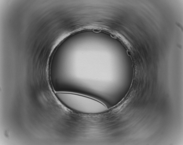 X0000096960902200802080857