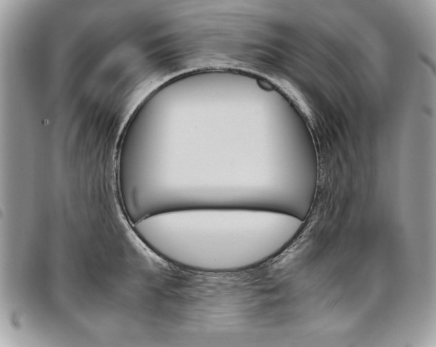 X0000096960903200802080857