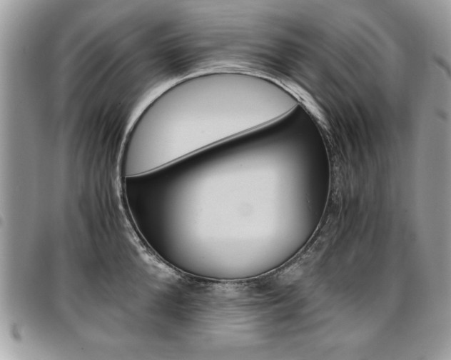 X0000096960904200802080857