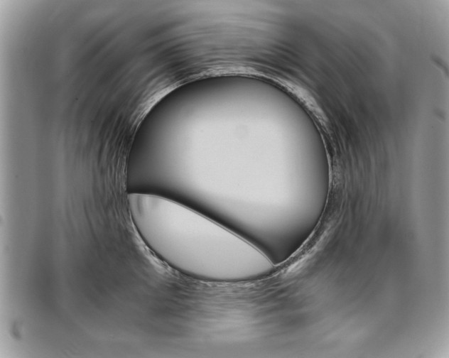 X0000096960905200802080857