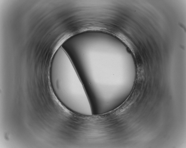 X0000096960906200802080857