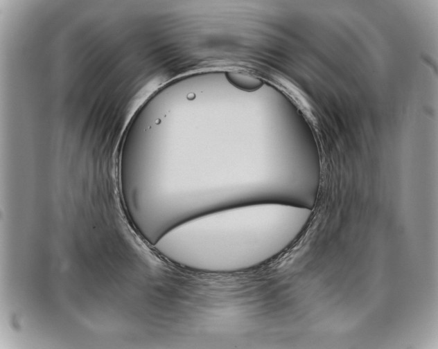 X0000096960907200802080857
