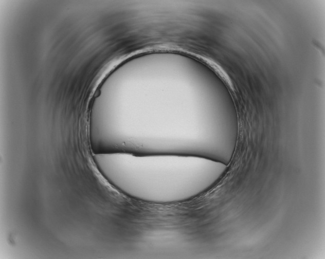 X0000096960911200802080857