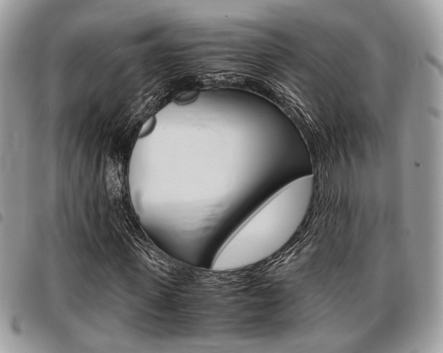 X0000096960915200802080856