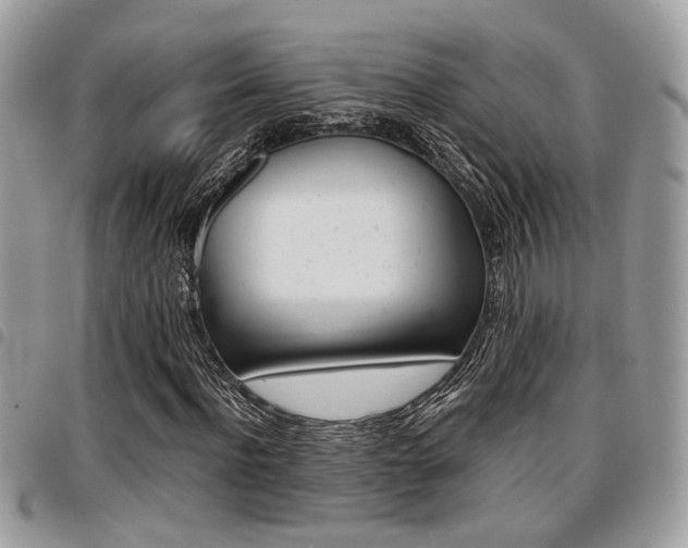 X0000096960916200802080856