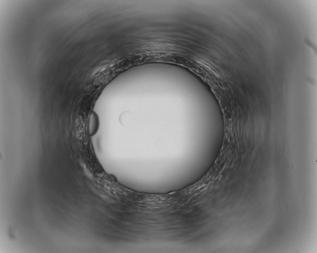 X0000096960917200802080856