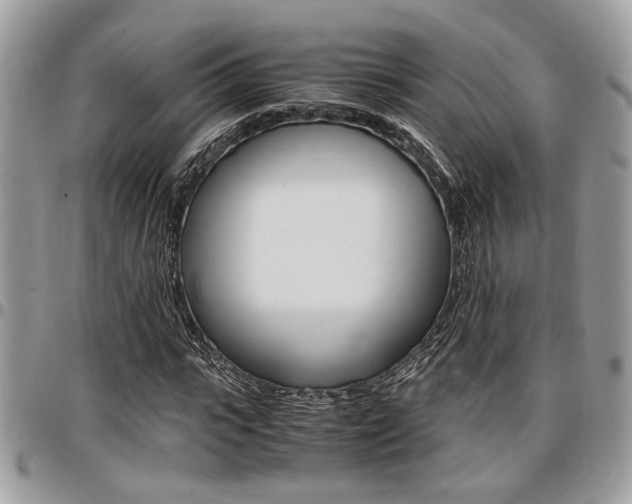X0000096960919200802080856