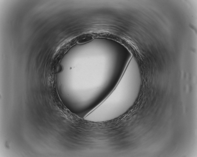 X0000096960920200802080856