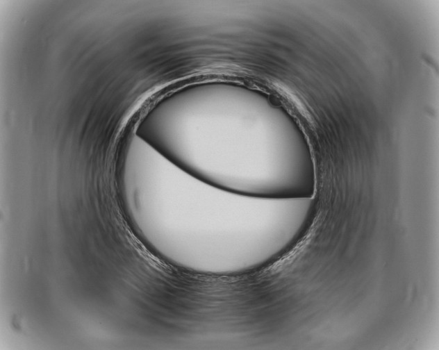 X0000096960923200802080856