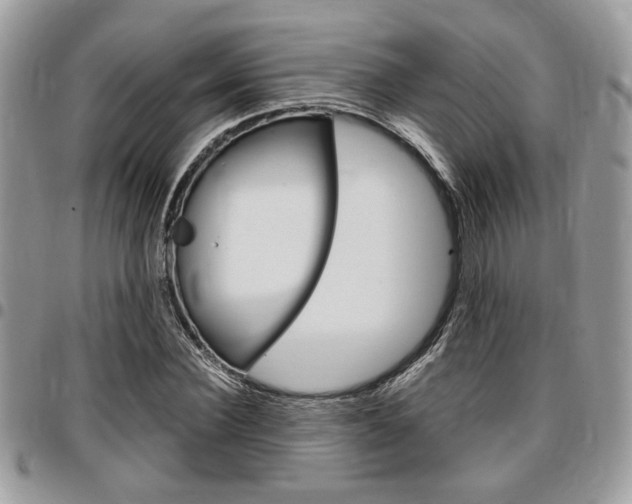 X0000096960924200802080856