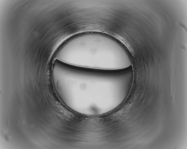 X0000096960926200802080856