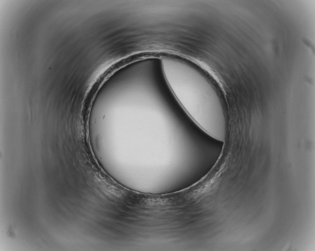 X0000096960927200802080856
