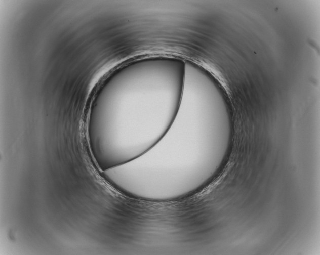 X0000096960928200802080856