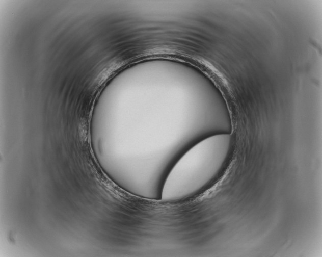 X0000096960929200802080856