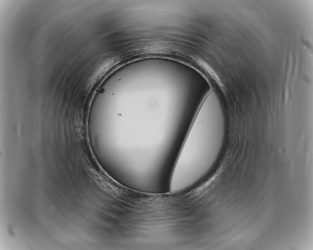 X0000096960930200802080856
