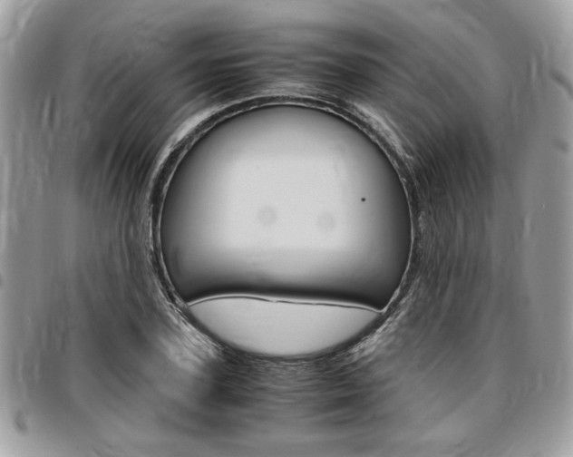 X0000096960931200802080856