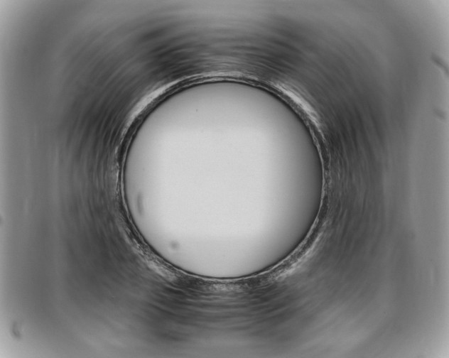 X0000096960933200802080856