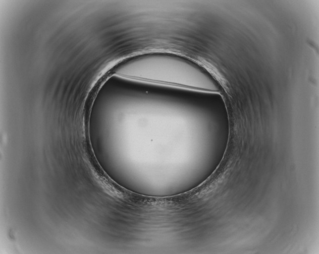 X0000096960934200802080856