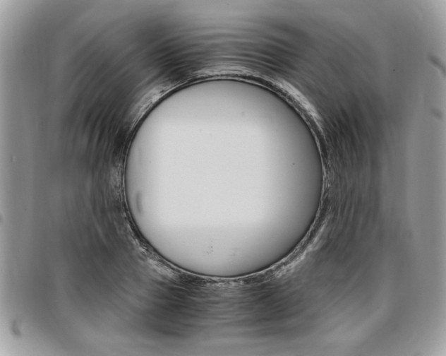 X0000096960937200802080856