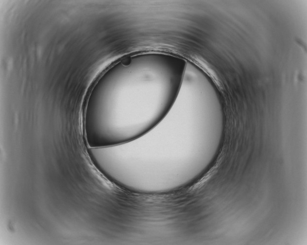 X0000096960940200802080856