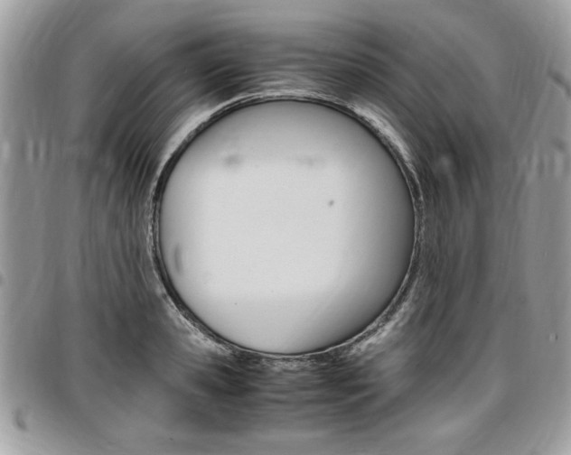 X0000096960941200802080856