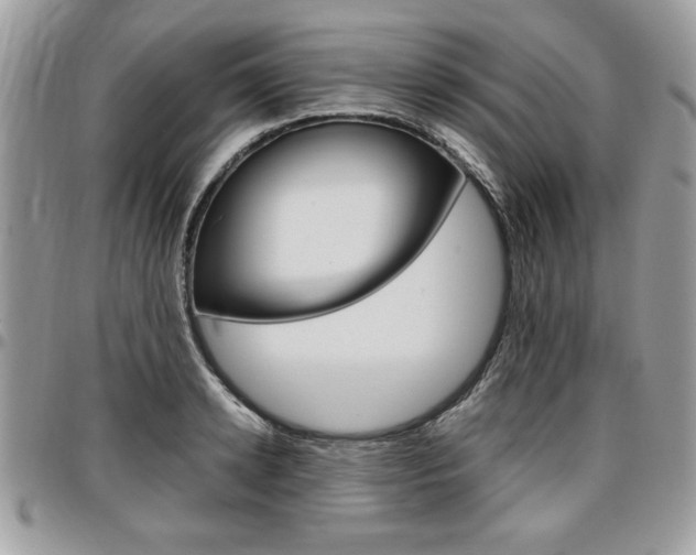 X0000096960942200802080856