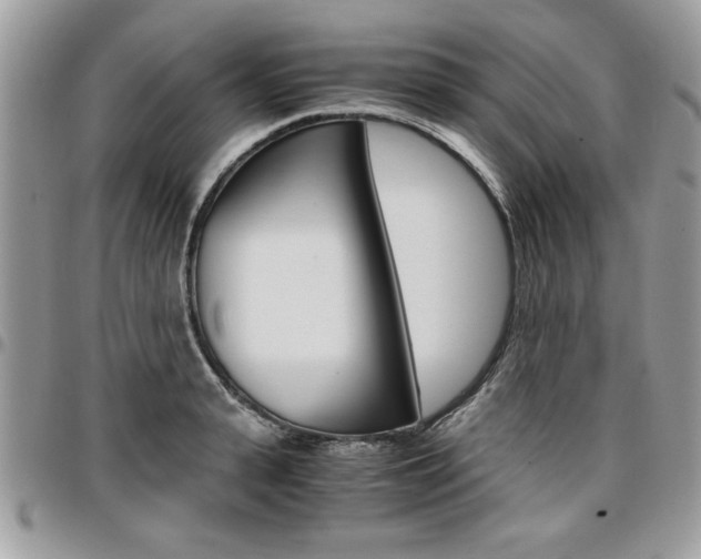 X0000096960943200802080856