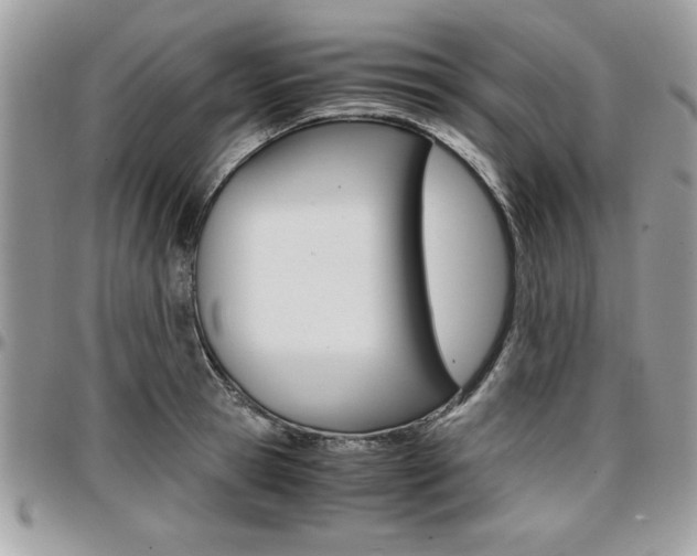X0000096960945200802080856