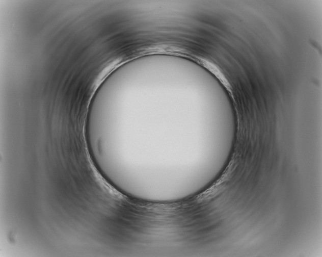 X0000096960946200802080856