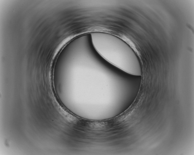 X0000096960947200802080857