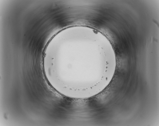 X0000096960950200802080857