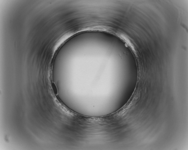 X0000096960952200802080857