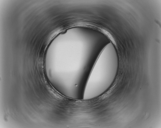 X0000096960954200802080857