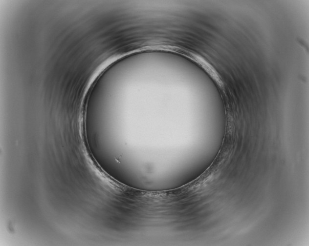 X0000096960955200802080857