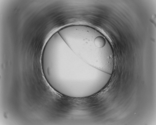 X0000096960959200802080857