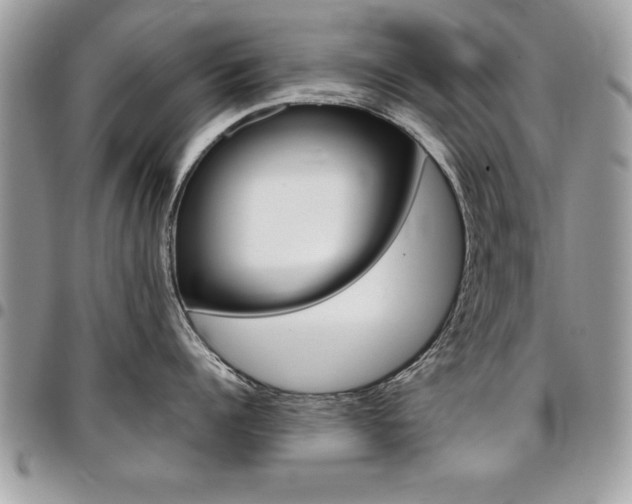X0000096960960200802080857