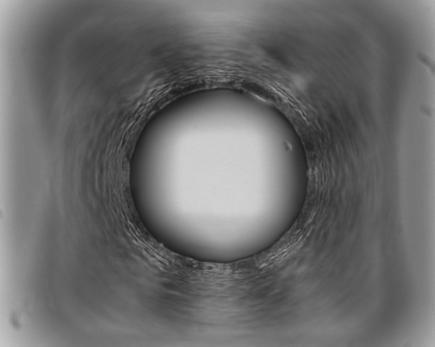 X0000096960961200802080856