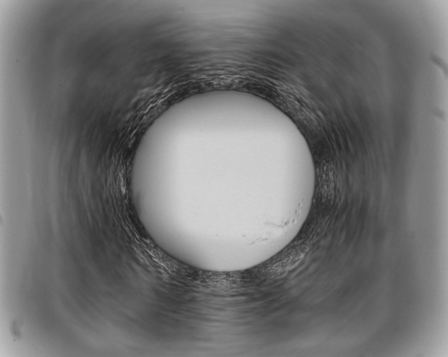 X0000096960962200802080856