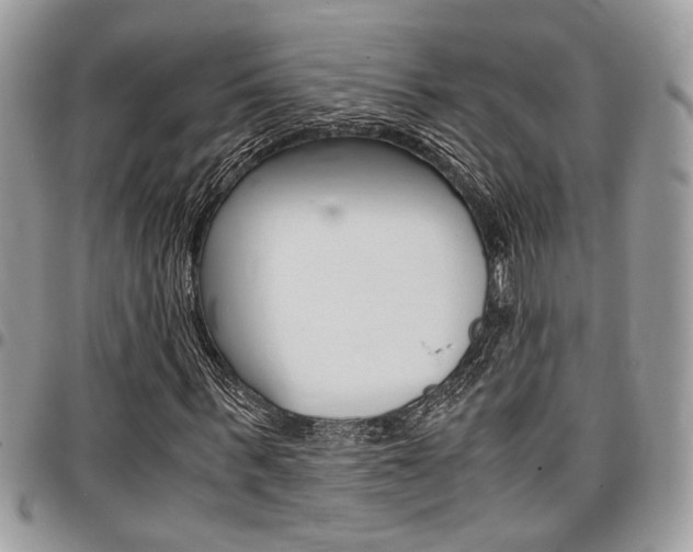 X0000096960963200802080856