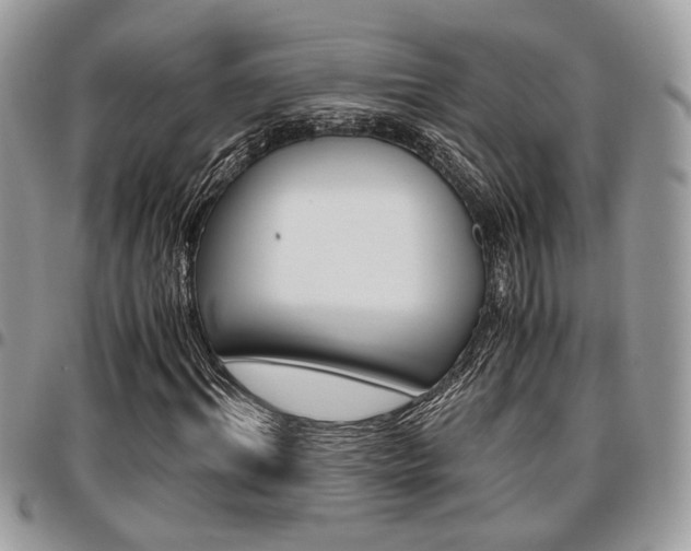 X0000096960964200802080856