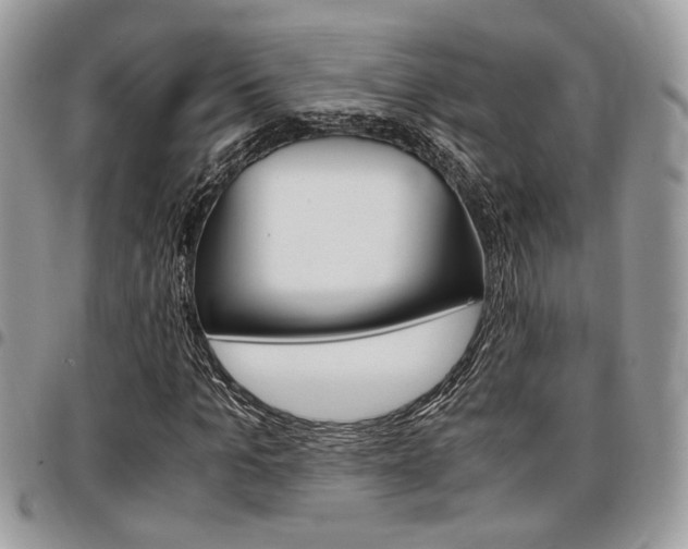 X0000096960965200802080856