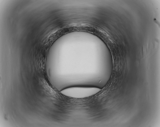 X0000096960966200802080856