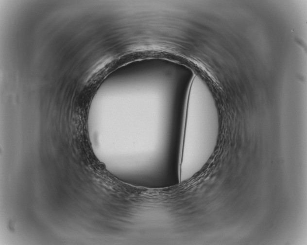 X0000096960967200802080856