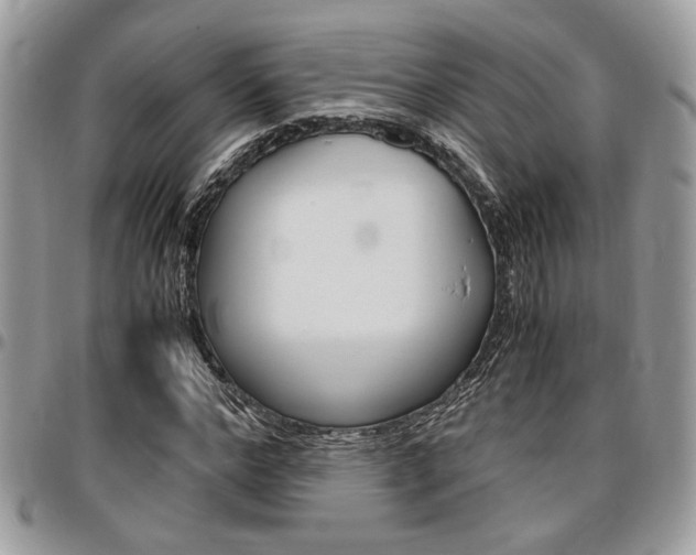 X0000096960968200802080856