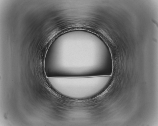 X0000096960969200802080856
