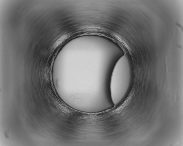 X0000096960970200802080856