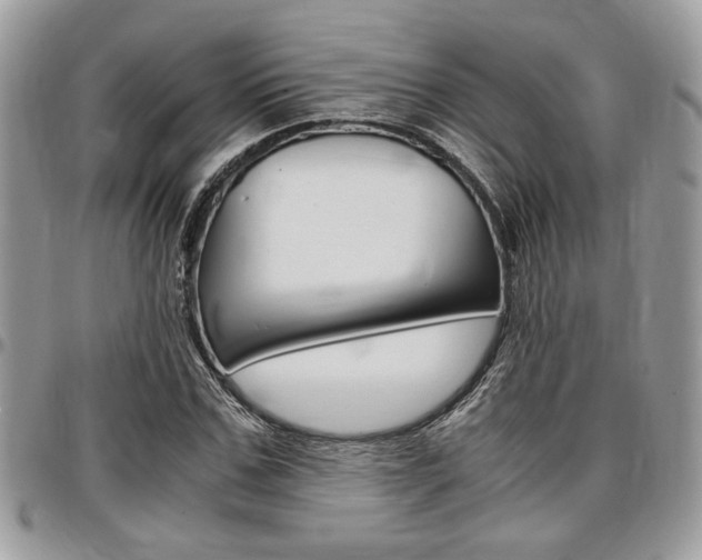 X0000096960971200802080856