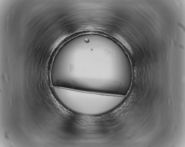 X0000096960972200802080856