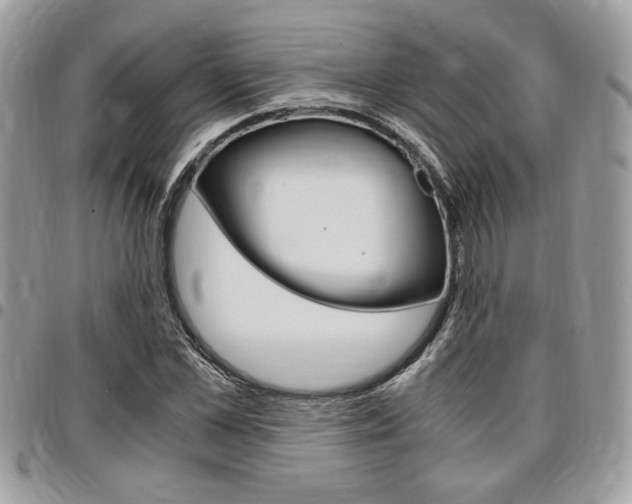 X0000096960973200802080856